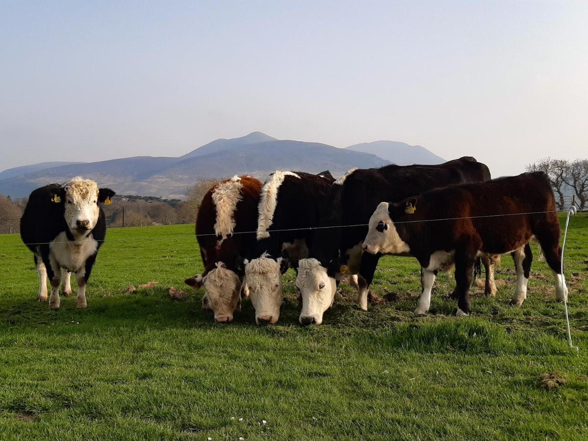 Inveraray Farm 보퍼트 외부 사진
