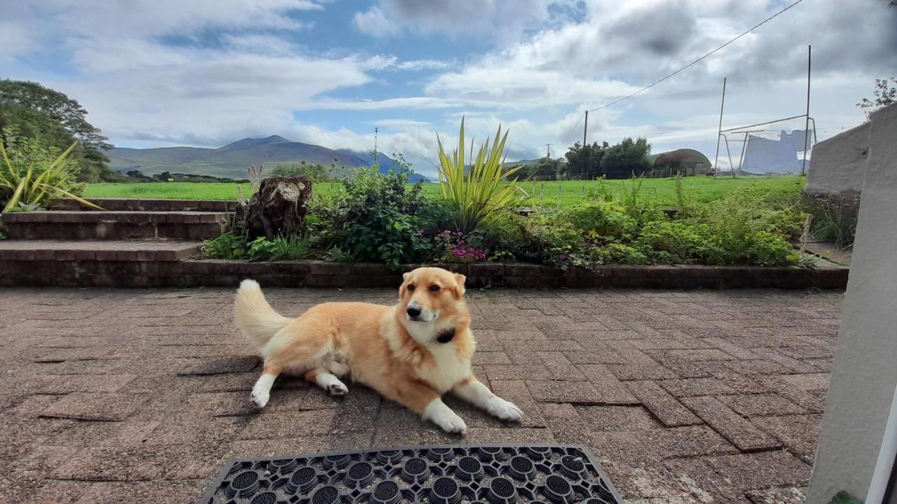 Inveraray Farm 보퍼트 외부 사진
